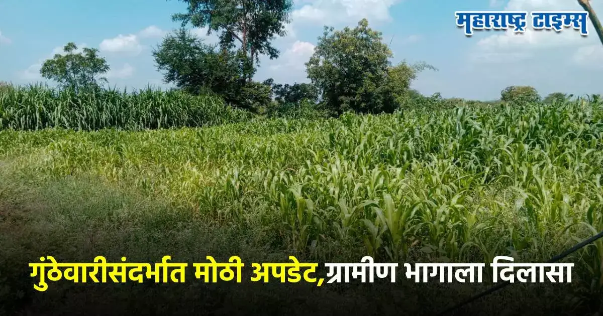 ग्रामीण भागातील गुंठेवारीसाठी नवा पर्याय, शहरातील गुंठेवारीच्या प्रश्नाचं काय? अपडेट समोर ग्रामीण भागातील गुंठेवारीसाठी नवा पर्याय, शहरातील गुंठेवारीच्या प्रश्नाचं काय? अपडेट समोर