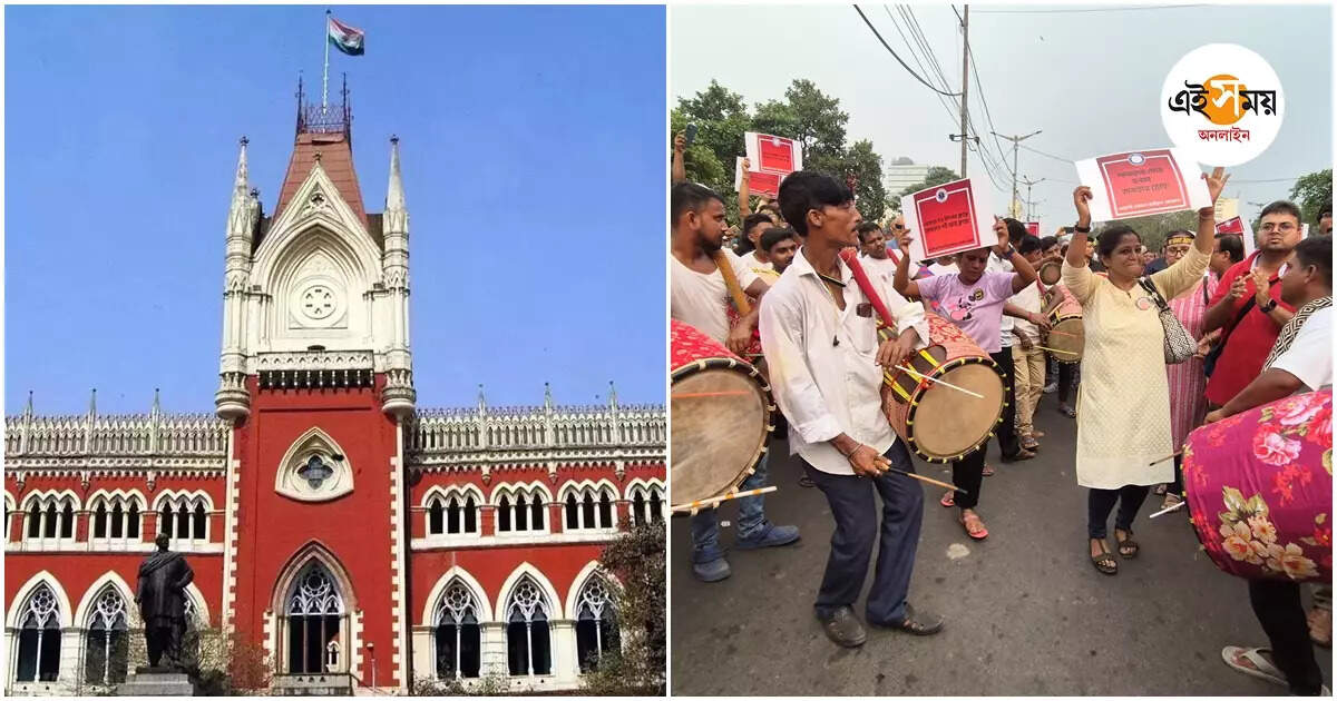 Droher Carnival,১৬৩ ধারা খারিজ করে ‘দ্রোহের কার্নিভাল’-এর অনুমতি হাইকোর্টের – calcutta high court gives permission for droher carnival