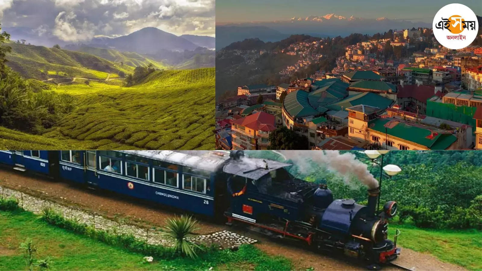 Darjeeling Tour: মেলো টি ফেস্টিভ্যাল, চমক দার্জিলিং পুলিশের – darjeeling police arrange melo tea festival to attract tourists