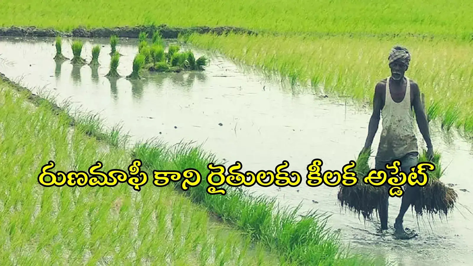 అర్హులైనా రుణమాఫీ కాలేదా..? గుడ్‌న్యూస్ చెప్పిన రేవంత్ సర్కార్