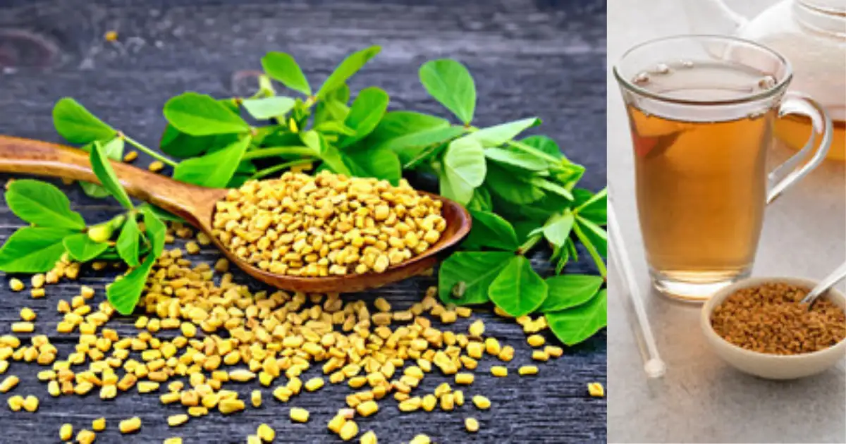 5 Health Benefits of Fenugreek Seeds Helpful for Menstrual Cycle; मासिक