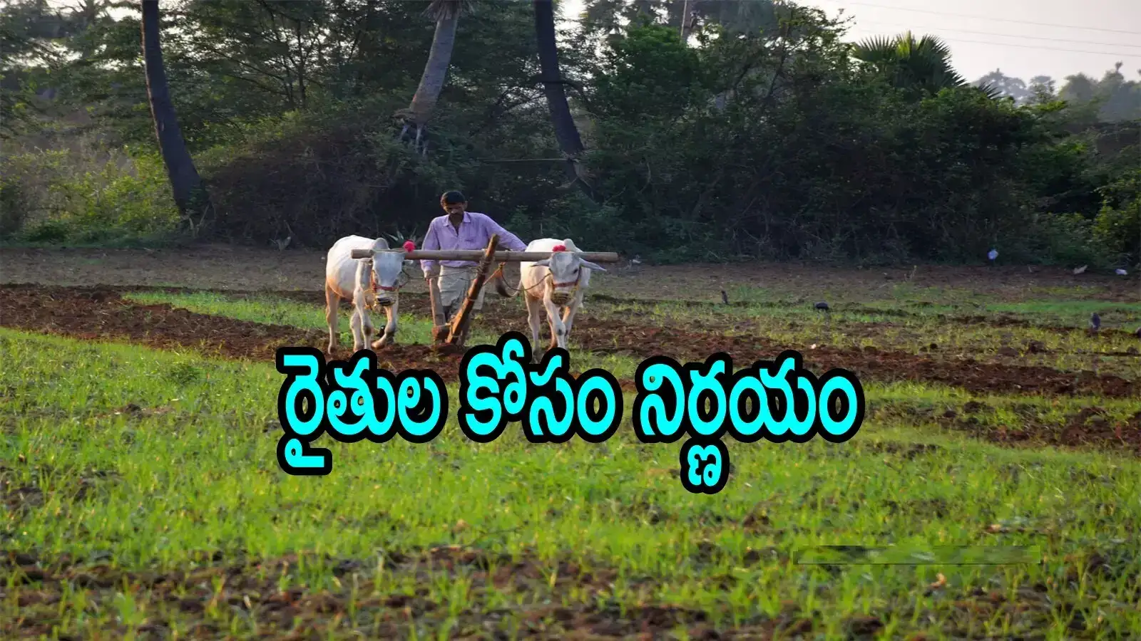 ఏపీలో రైతులకు గుడ్‌న్యూస్.. ఒక్కొక్కరికి రూ.85వేలు, ప్రభుత్వం కీలక నిర్ణయం