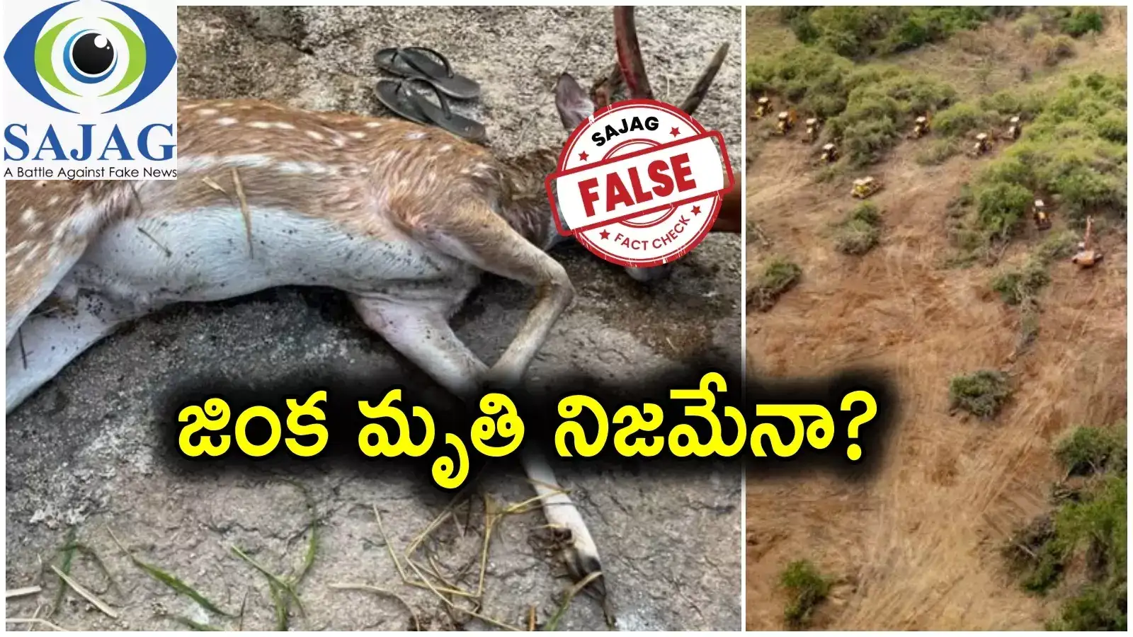 Kancha Gachibowli: హెచ్‌సీయూలో నిజంగానే జింక చనిపోయిందా.. వైరల్ ఫోటో వెనుక నిజం ఏంటి?