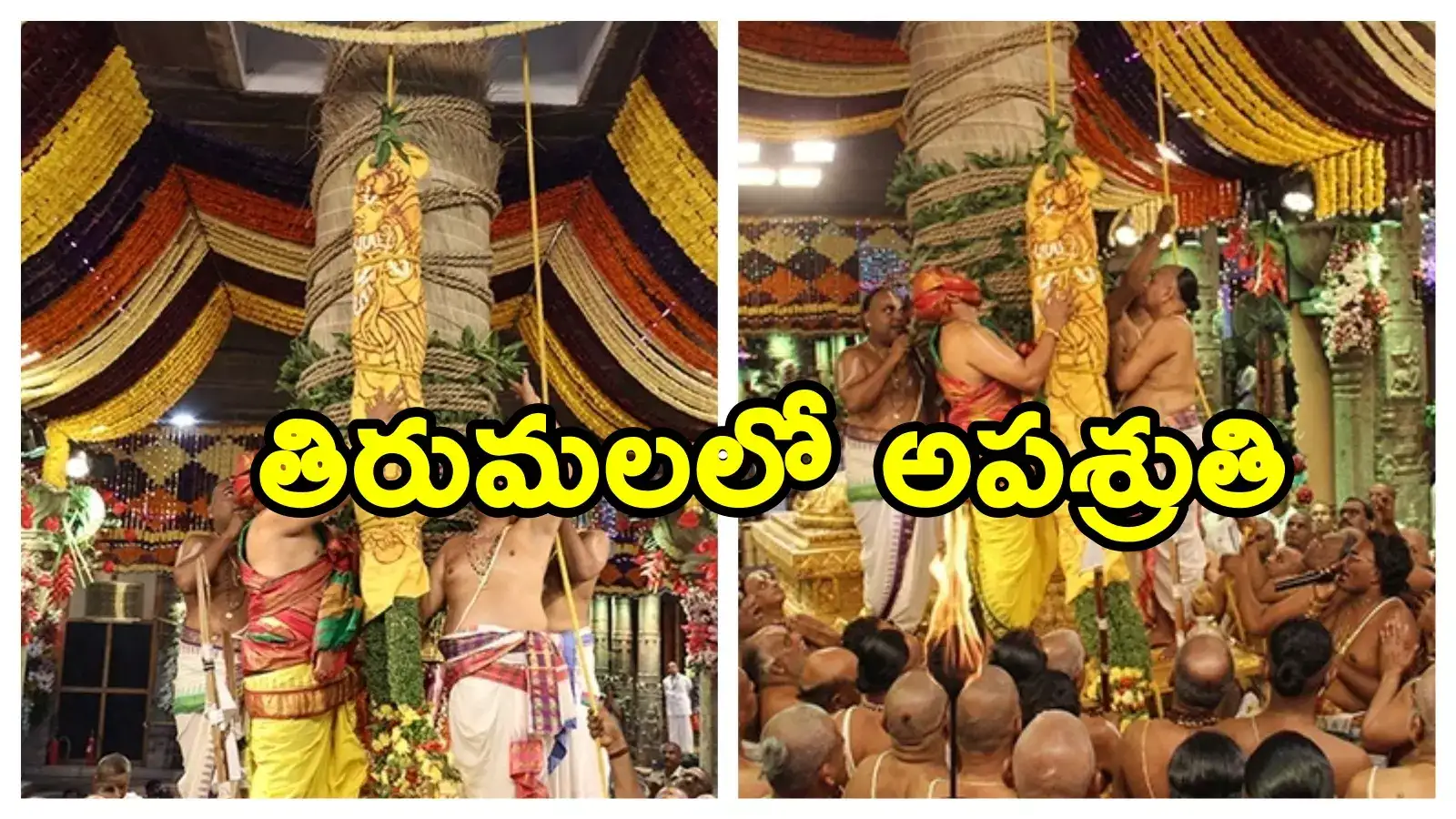 Tirumala: బ్రహ్మోత్సవాల వేళ తిరుమలలో అపశ్రుతి.. ఆందోళనలో అర్చకులు