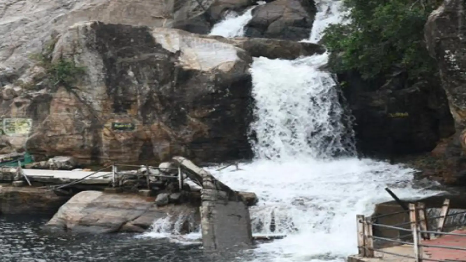 மணிமுத்தாறு அருவியில் சுற்றுலா பயணிகள் குளிக்க தடை.... மாவட்ட நிர்வாகம் அதிரடி உத்தரவு! 