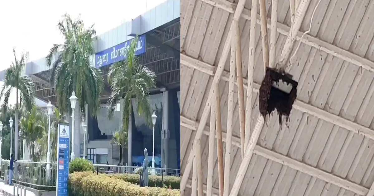 மதுரை விமான நிலையத்தில் கூடு கட்டிய தேனீக்கள்... விஐபிக்கள் வழியில் மாற்றி விடப்பட்ட விமான பயணிகள்! 