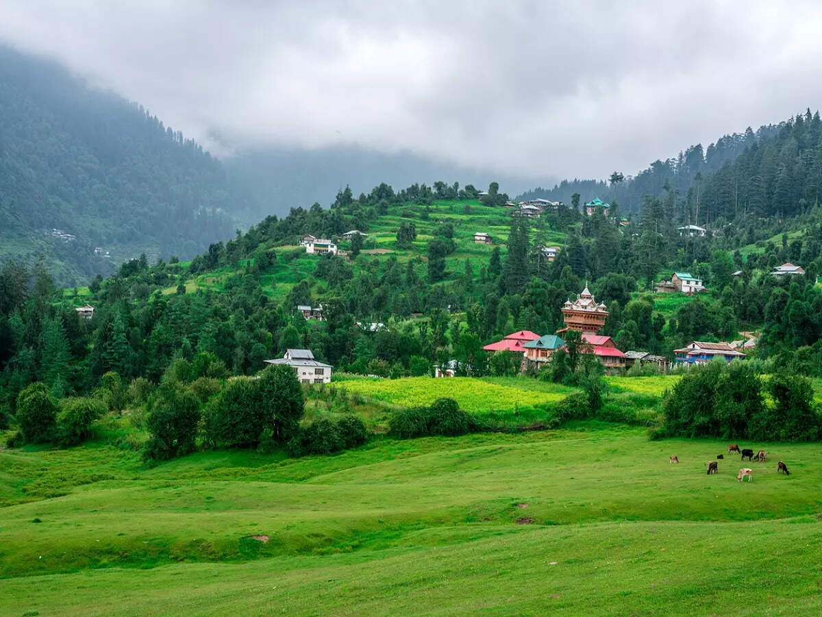 Places To Visit In Morni Hills,आप भी मार लें हरियाणा के इकलौते हिल स्टेशन  पर एक नजर, भूल जाएंगे उत्तराखंड और हिमाचल की पहाड़ी जगहों पर घूमना - visit morni  hills station