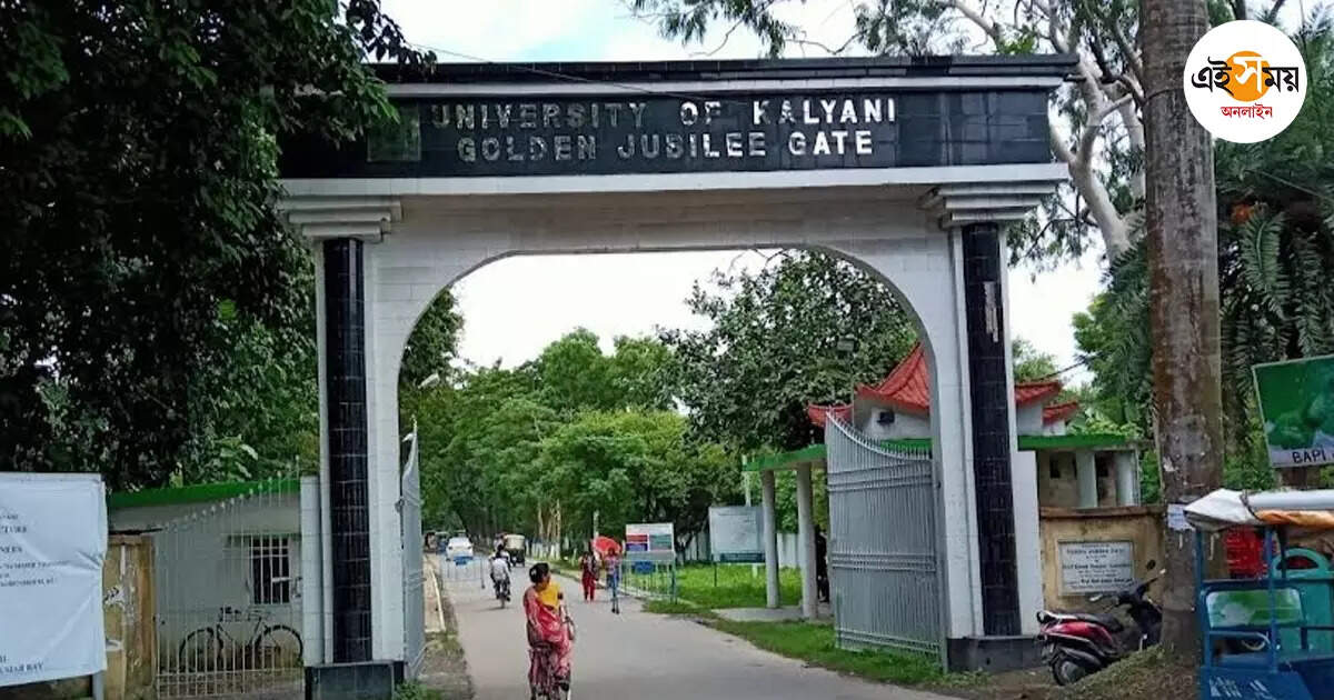 Kalyani University,ধর্ষণের অভিযোগে ব্যবস্থা নেয়নি ​​কল্যাণী বিশ্ববিদ্যালয়, রিপোর্ট ডিএমের – lcc send report to higher education department regarding kalyani university incident