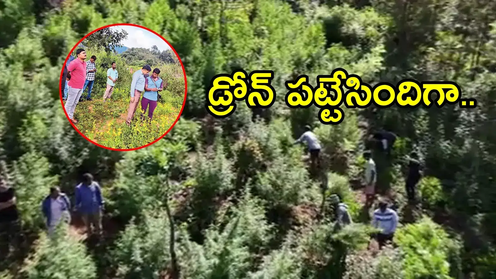 అల్లూరి జిల్లా: పొదల్లోకి డ్రోన్ ఎగరేసిన పోలీసులు.. అడ్డంగా దొరికిపోయారు