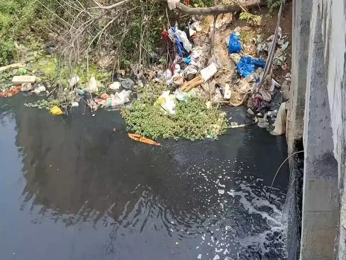 செம்பரம்பாக்கம் ஏரிக்கு அபாயம்.. பொதுமக்கள் அச்சம்.. நடவடிக்கை எடுக்குமா பொதுப்பணித்துறை? 