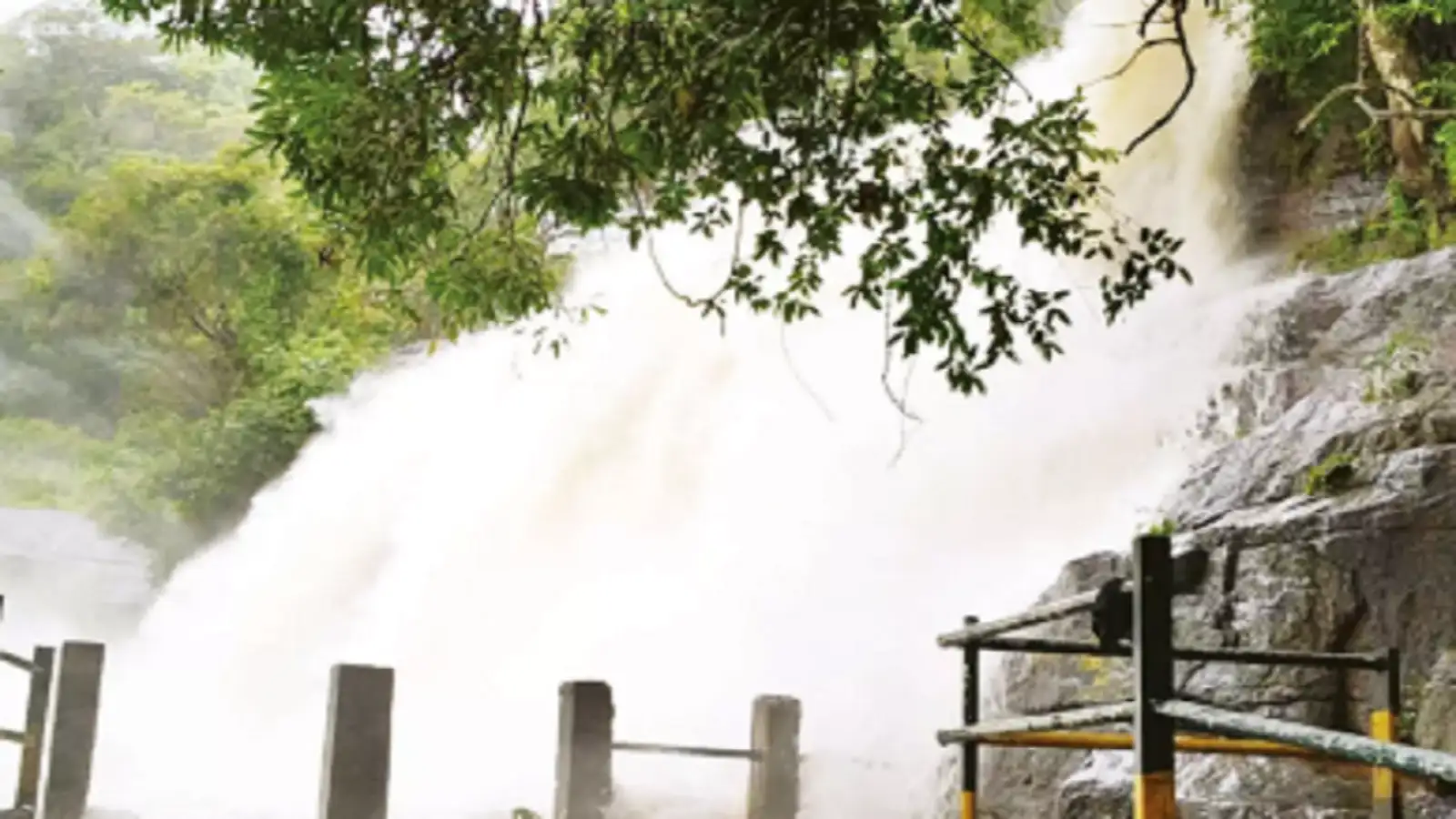 சுற்றுலாப் பயணிகளின் கவனத்திற்கு; மேகமலை அருவியில் வெள்ளப்பெருக்கு.... 2வது நாளாக குளிக்க தடை! 