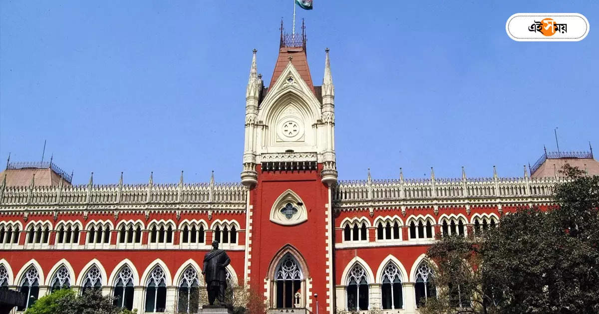 Calcutta High Court,ভয়ের আবহে হাইকোর্টে শোকের কর্মবিরতি: জাস্টিস – calcutta high court work closed for bar association call for strike