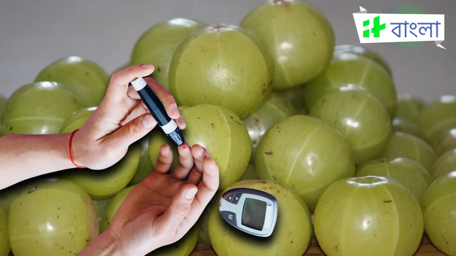 Saltanat, kokraklari kichkina qozoq kaltak