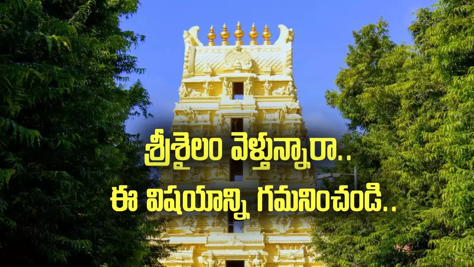 Srisailam: మల్లన్న భక్తులకు ముఖ్య గమనిక.. దేవస్థానం కీలక నిర్ణయం..