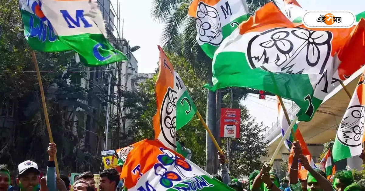 Trinamool Congress : রাজ্যে বহু জেলায় সাংগঠনিক সভাপতি বদল করছে তৃণমূল – before lok sabha elections trinamool can change president of multiple organizational districts in west bengal