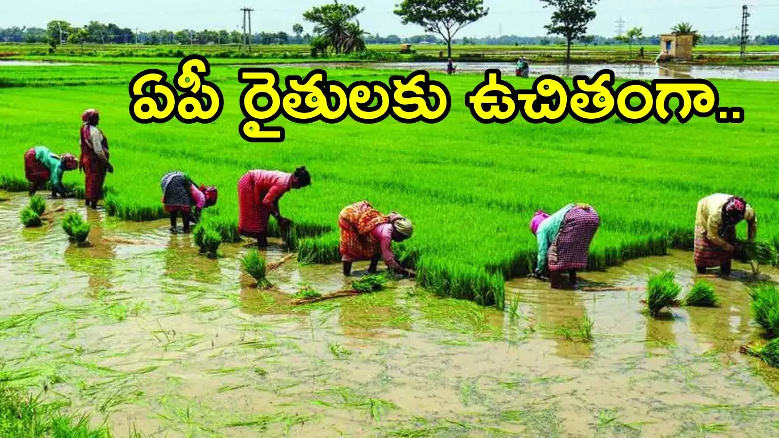 ఏపీలో రైతులకు మంచి అవకాశం.. ఉచితంగానే, ప్రభుత్వం కీలక ప్రకటన