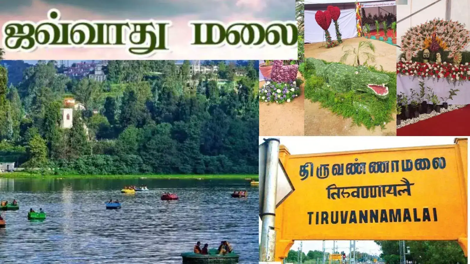 ஜவ்வாது மலை கோடை விழா : 2.6 கோடி மதிப்பீட்டில் சாகச சுற்றுலா தளம்.. சிறப்பு ஏற்பாடுகள் என்ன தெரியுமா? 