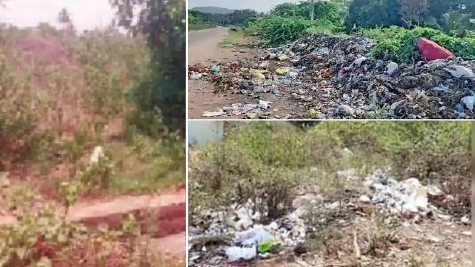 709 vacant plots cleaned in Bengaluru under 'Swatantrya Abhiyan'