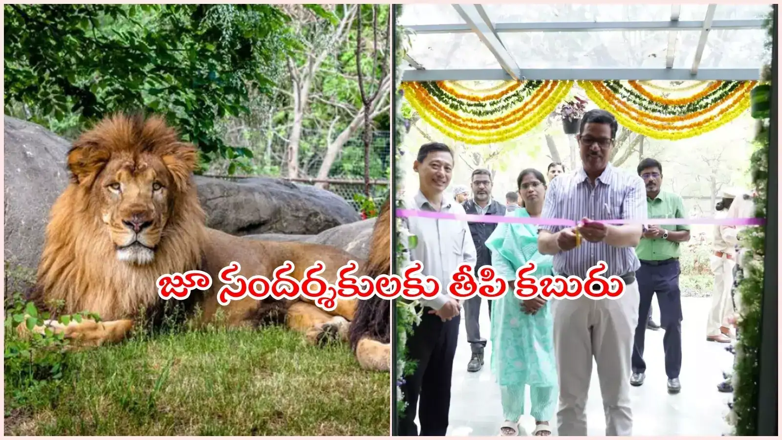 HYD: జూపార్క్‌కు వెళ్లేవారికి గుడ్‌న్యూస్.. ఇక ఆ ఇబ్బంది లేదు, జూ లోపలే దొరుకుతాయ్