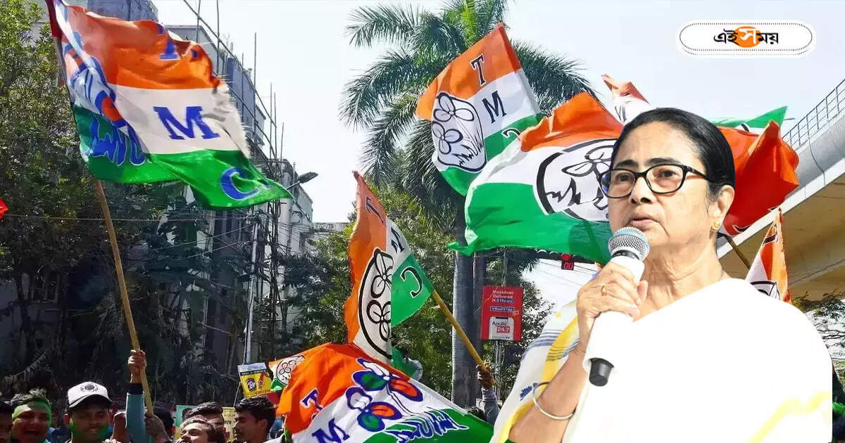 Trinamool Congress : মমতার অসুস্থতা নিয়ে কুরুচিকর আক্রমণ! শুভেন্দুর বিরুদ্ধে অভিযোগ, মিছিলের ডাক তৃণমূলের – tmc will hold a protest rally against suvendu adhikari rude comments on mamata banerjee injury