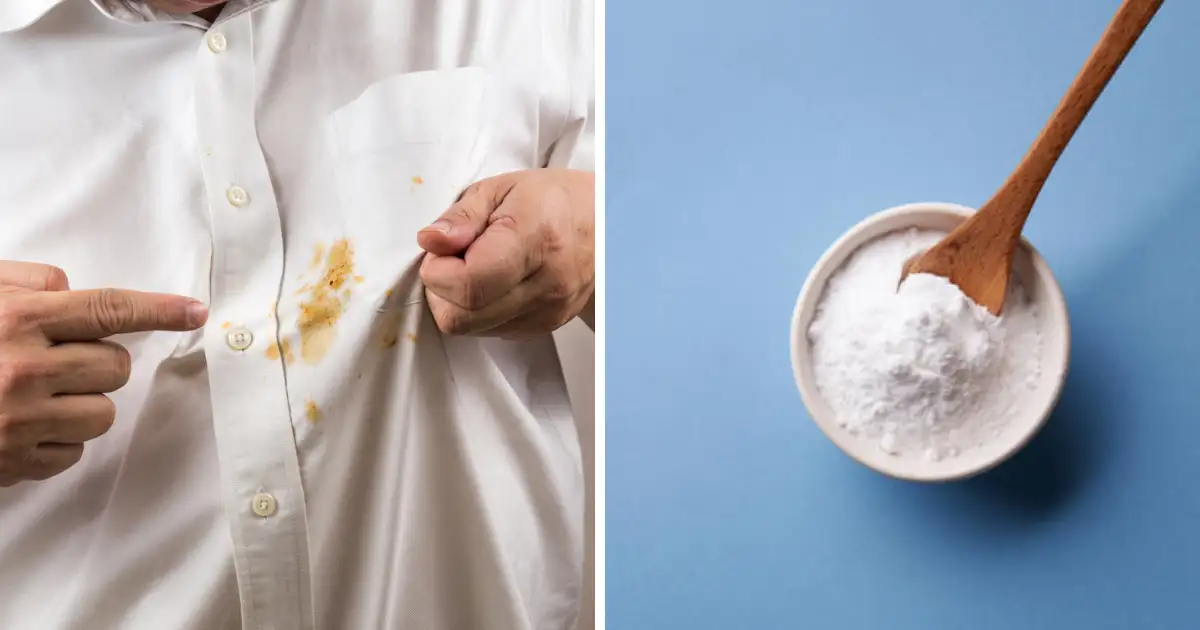 Stain Removal : सफेद कपड़े और तेल के दाग, जानिए कैसे करें बिना झंझट साफ 6 Stain Removal