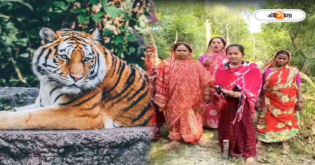 Royal Bengal Tiger : বাঘ দেখে মূর্ছা যায় ছাত্রী, দক্ষিণ রায়ের আতঙ্কে ঘুম উড়েছে গ্রামবাসীর – royal bengal tiger panic spread at village in patharpratima dakshin 24 parganas