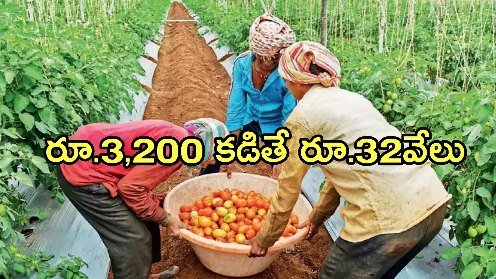 ఏపీలో రైతులకు శుభవార్త.. వారికి ఎకరాకు రూ.32 వేలు, వెంటనే నమోదు చేస్కోండి