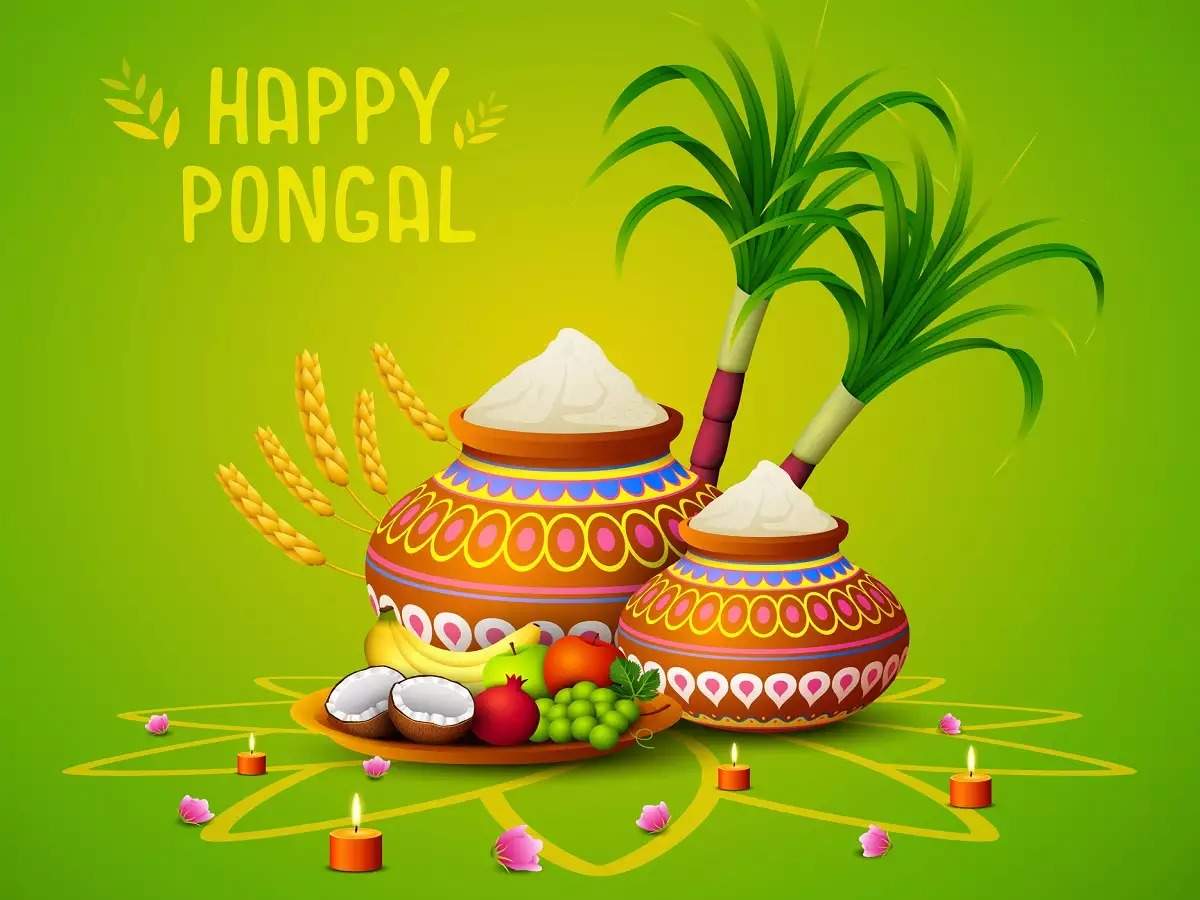 Pongal Wishes 2021,Happy Pongal 2022: பொங்கல் ...