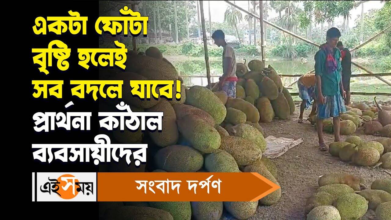 Mahishadal Jackfruit Market : অল্প বৃষ্টি হলেই সব বদলে যাবে! প্রার্থনা কাঁঠাল ব্যবসায়ীদের – jackfruit sellers praying for rain as customers are not coming due to heat wave condition in mahishadal watch video