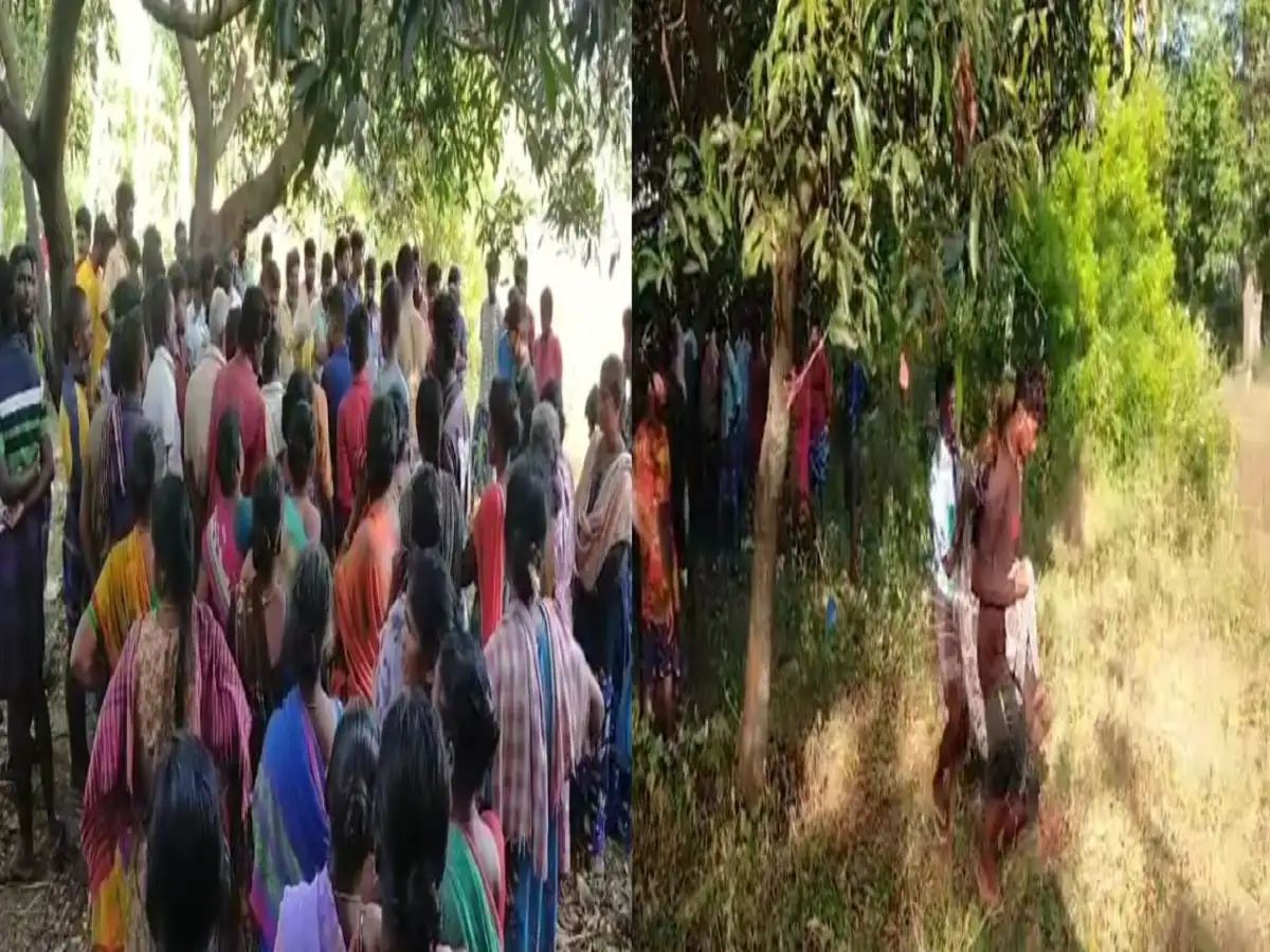 தேனியில் சோகம்: பெற்றோர்கள் காதலுக்கு எதிர்ப்பு.. மாந்தோப்பில் காதல் ஜோடி தூக்கிட்டு தற்கொலை! 