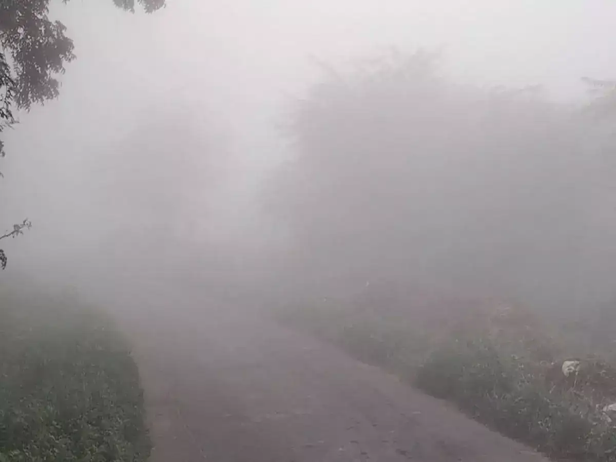 கரூர் குளித்தலையில் கடும் பனிப்பொழிவு 