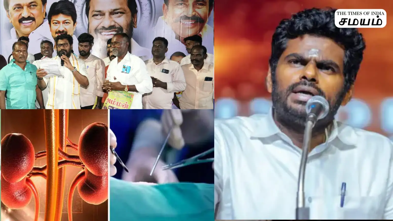 கிட்னி திருட்டு விவகாரம் ..வெட்கமே இல்லாமல் பேசும் திமுக MLA - அண்ணாமலை வெளியிட்ட வீடியோ! 