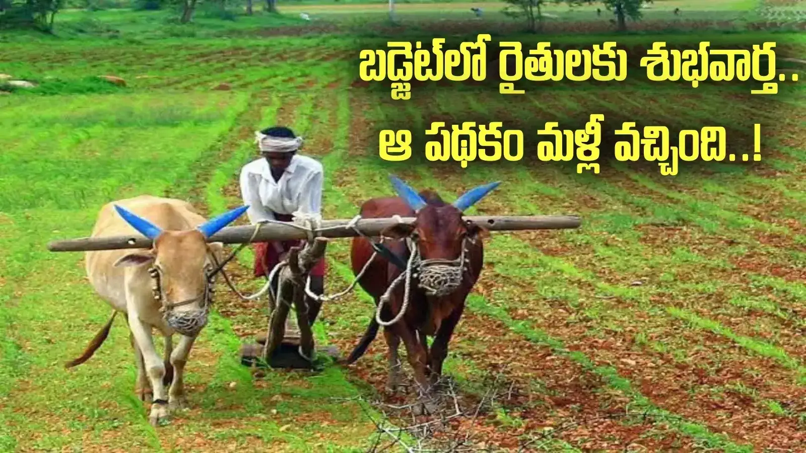 ఏపీ రైతులకు శుభవార్త.. ఆ పథకం మళ్లీ వచ్చింది.. అచ్చెన్నాయుడు కీలక ప్రకటన