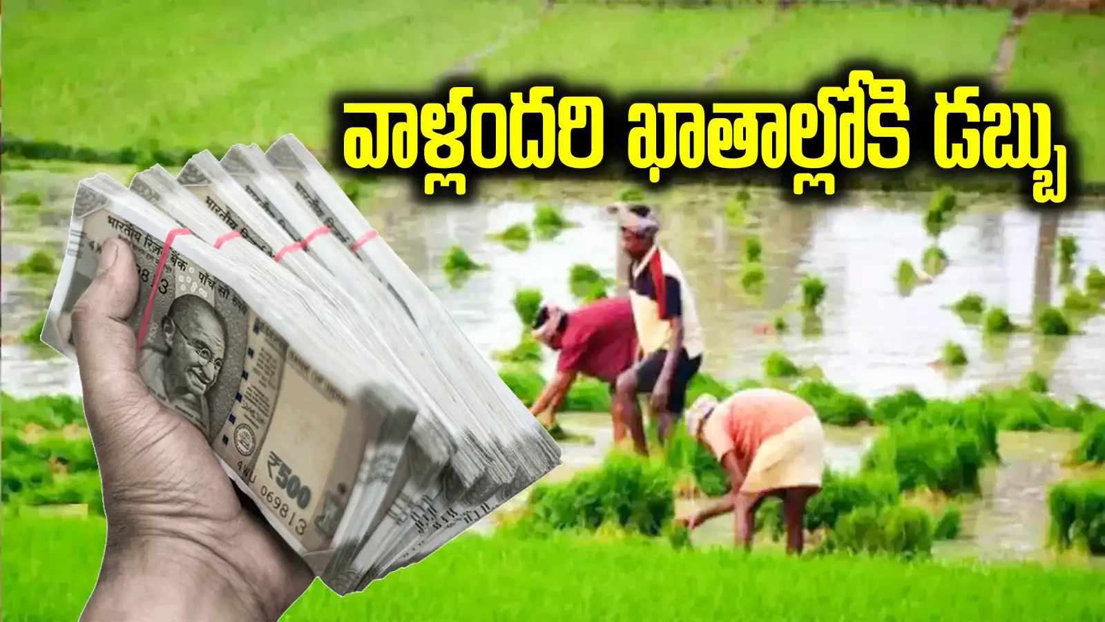రుణమాఫీ కాని అన్నదాతల భారీ శుభవార్త.. 5 లక్షల రైతుల అకౌంట్లలోకి డబ్బులు జమ..!