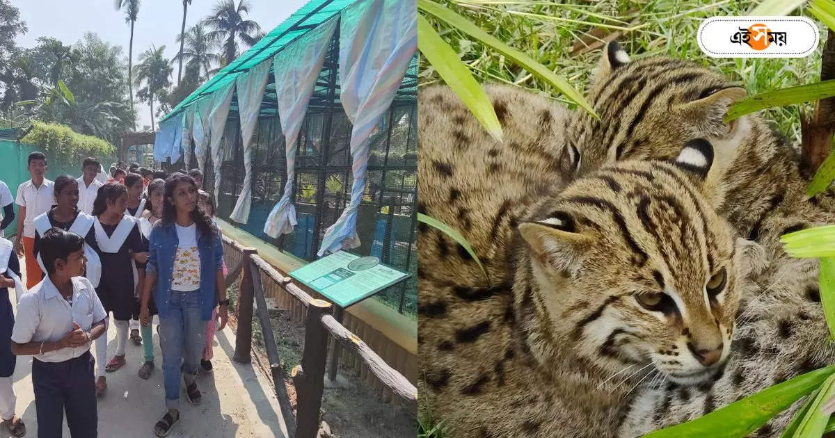 Garchumuk Mini Zoo : অপেক্ষার তিন দিন, খুলছে রাজ্যের মিনি জু – garchumuk zoological garden mini zoo will open from 21 december 2023