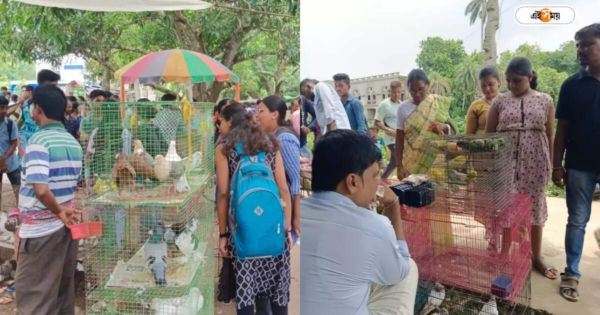 Mahishadal Rath Yatra 2024,উল্টোরথে পশুপাখির হাট মহিষাদলে, পছন্দের পোষ্য কিনতে ক্রেতাদের ঢল – bird and animal market at purba midnapore mahishadal on ulta rath yatra 2024