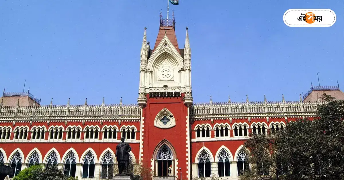 ভুল করার অধিকার জন্মায় না, শুভেন্দুর ধর্না মামলায় মত হাইকোর্টের – calcutta high court comment on suvendu adhikari dharna for post poll violence in front of raj bhavan