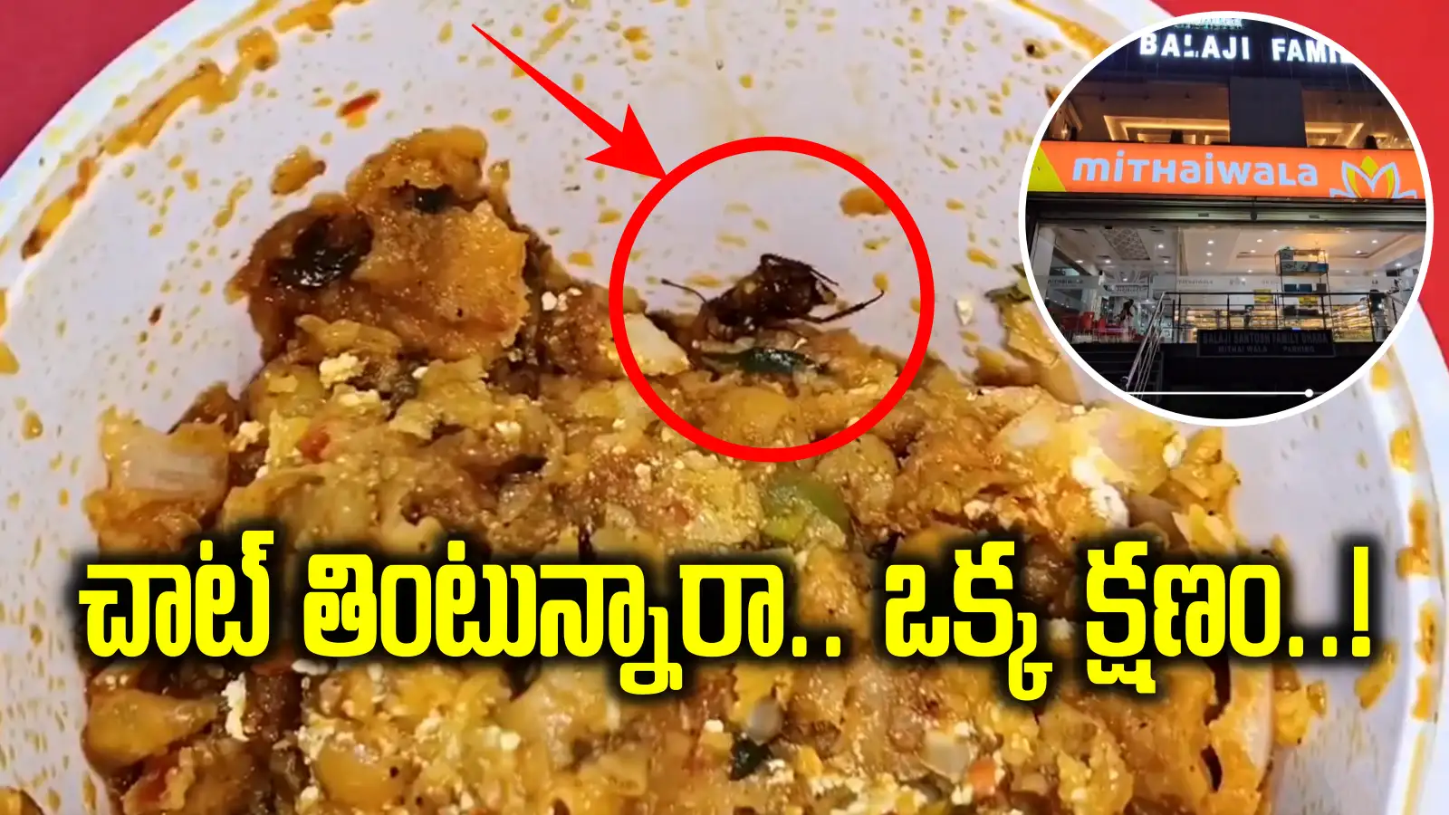 ఎంతో ఇష్టంగా 'చాట్' తింటుంటే.. మధ్యలో ఏం ప్రత్యక్షమైందో చూశారా..?