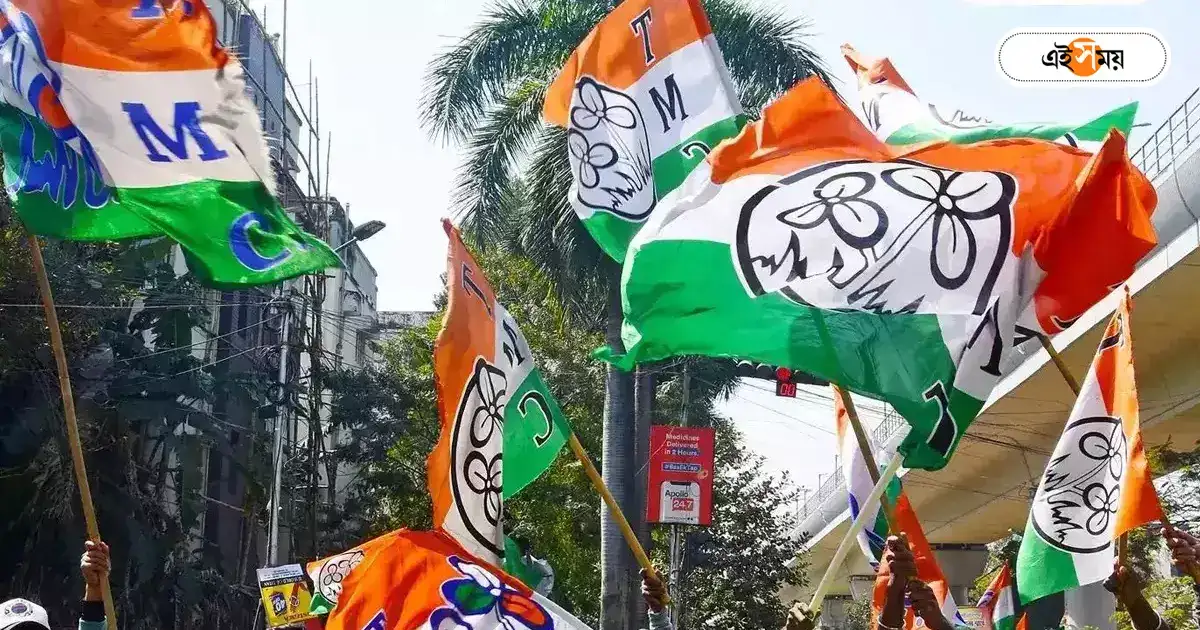 Trinamool Congress : মহানগরের সব ওয়ার্ডেই লিড পেতে মরিয়া তৃণমূল – lok sabha election 2024 trinamool congress is desperate to get lead in all wards of kolkata municipality Trinamool Congress : মহানগরের সব ওয়ার্ডেই লিড পেতে মরিয়া তৃণমূল – lok sabha election 2024 trinamool congress is desperate to get lead in all wards of kolkata municipality
