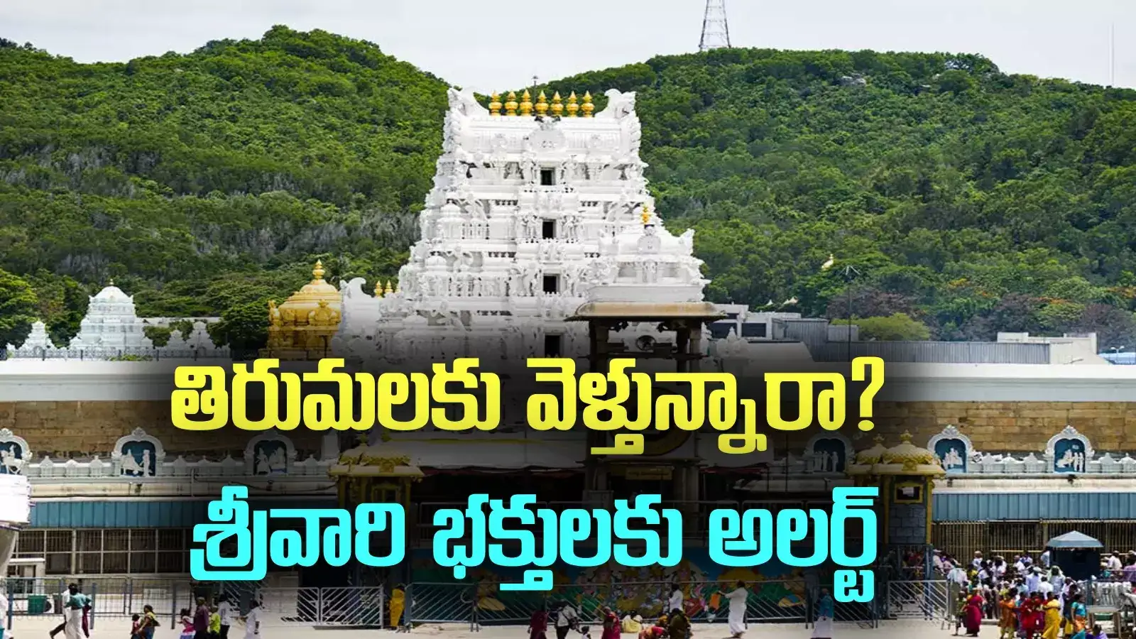 Tirumala: టీటీడీ కీలక నిర్ణయం.. ఆ రోజుల్లో అన్ని ప్రత్యేక దర్శనాలు రద్దు