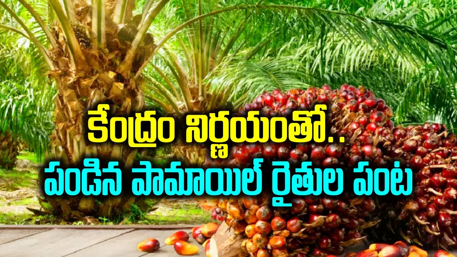 తెలంగాణలోని ఆ రైతులందరికీ భారీ ఊరట.. కేంద్రం నిర్ణయంతో కళ్లుచెదిరే ఆదాయం..!