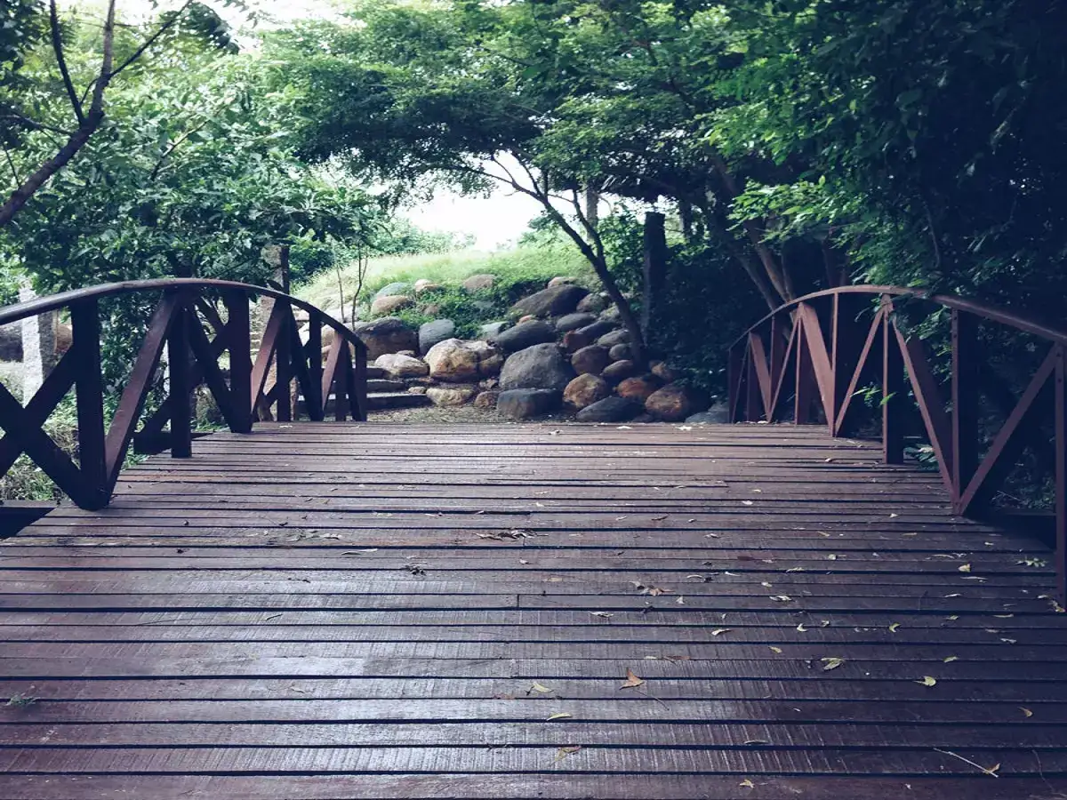 சென்னை மாநகரில் மற்றொரு பூங்கா... சொன்னதை செய்த ஸ்டாலின்... பணிகளை தொடங்கிய தமிழ்நாடு அரசு! 