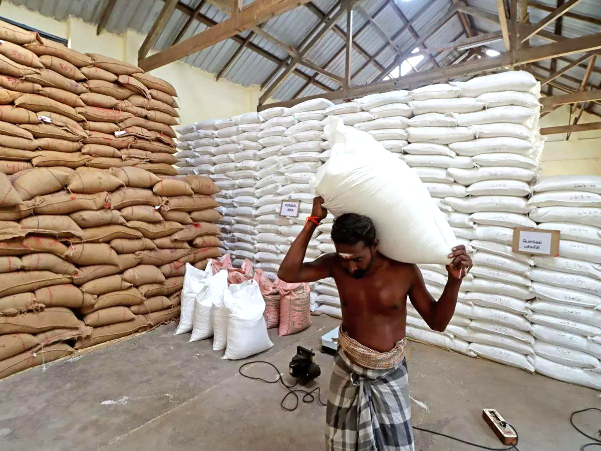 Rice prices rise;  The export ban may continue till November