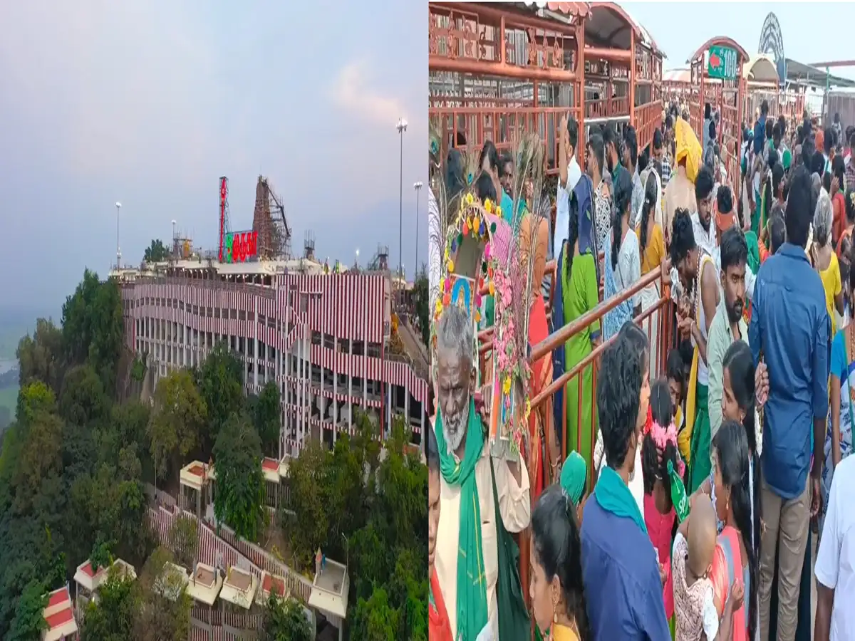 பொங்கல் நாளில் பழனி மலையில் காவடி எடுக்க குவிந்த பக்தர்கள்! சாமி தரிசனம் செய்ய 5 மணி நேரமாக காத்திருப்பு! 