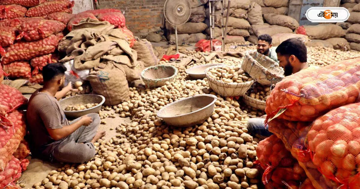 Potato Price Today,ব্যবসায়ীদের ধর্মঘটের জেরে বাড়ছে সঙ্কট, রাজ্যে মহার্ঘ হবে আলু? – potato price may increase in west bengal for strike of business association