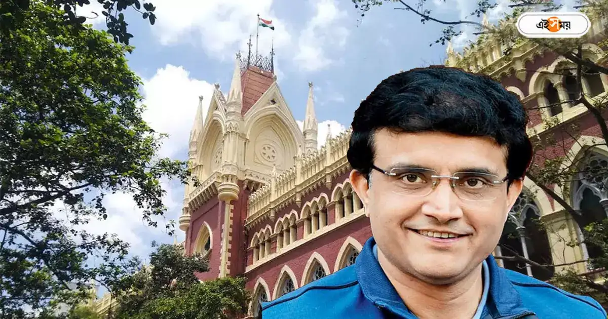 Sourav Ganguly : ফিল্ম সিটির জমি সৌরভকে, রাজ্যের সিদ্ধান্তে হস্তক্ষেপ হাইকোর্টের – calcutta high court direction on sourav ganguly land for factory at paschim medinipur