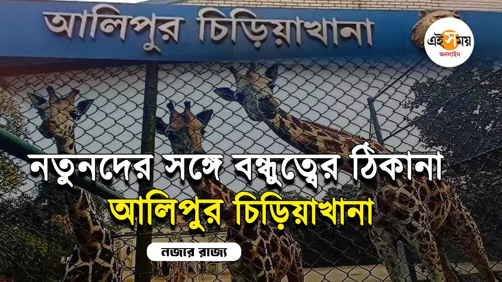 Alipore Zoo: আলিপুরের জু়-এর ভোলবদল – kolkata alipore zoo celebration 150 years attended forest minister birbaha hansda and mayor firhad hakim watch video