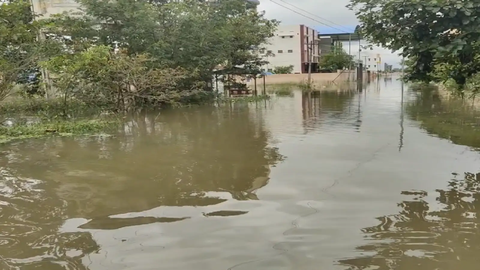 காஞ்சிபுரம் அடையாறு கால்வாயில் வெள்ளப்பெருக்கு; குடியிருப்பு பகுதிகளை சூழ்ந்த மழை நீரால் மக்கள் அவதி! 