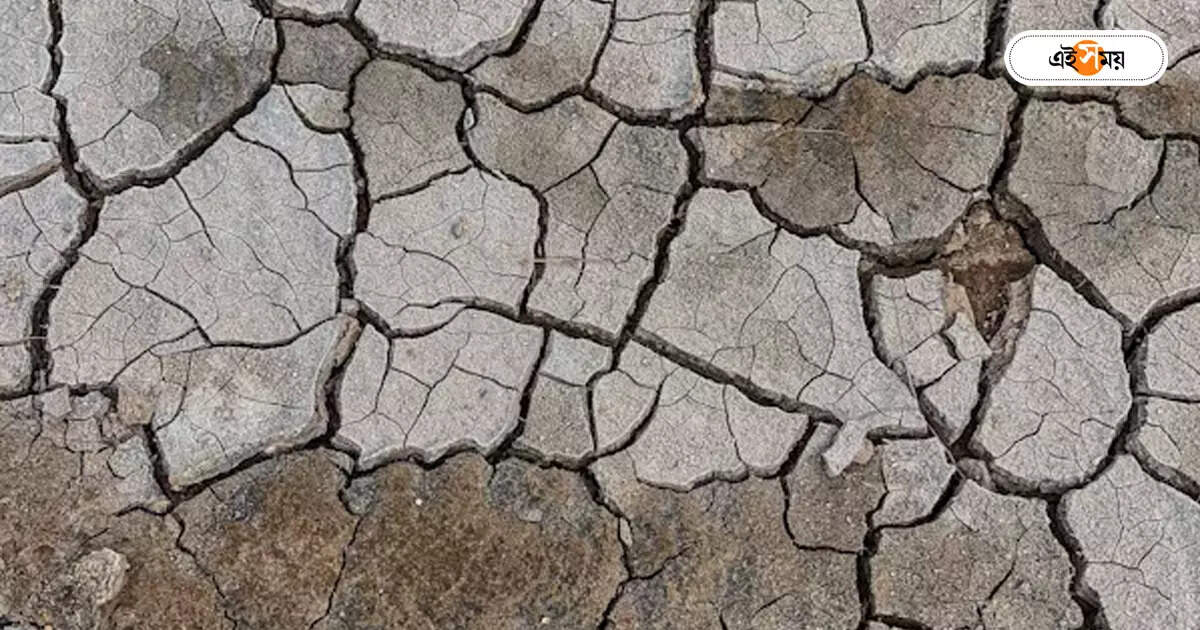 Heat Wave,মাঠে পুড়ছে ফসল! একটা কালবৈশাখী অন্তত হোক, চাইছেন চাষিরা – east burdwan farmers are suffering due to lack of water for heat wave