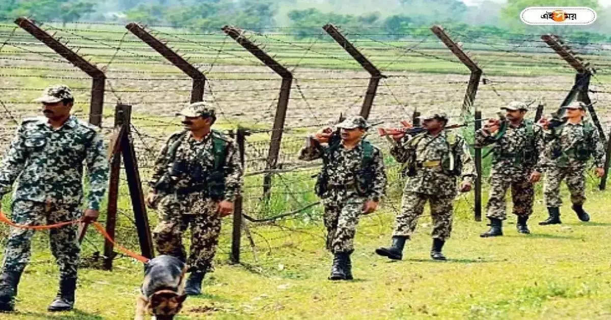 BSF : সীমান্তে কয়েক লক্ষ বাংলাদেশি টাকা সহ গ্রেপ্তার সিপিএম কর্মী – bsf caught cpim leader with three lakhs bangladesh money at swarupnagar ahead lok sabha election